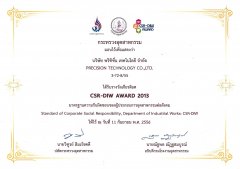 CSR-DIW-Award2013